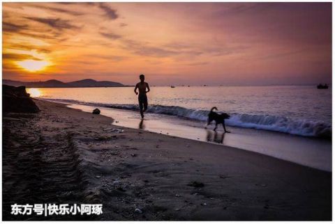 越南越美,性价比最高的出国旅游目的地,满大街的摩托车