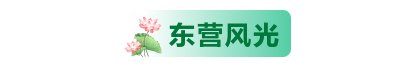  「名字」请记住我的名字：东营！