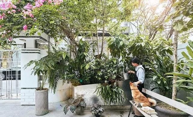  花店@请拖住下巴，全球9间超赞的花店