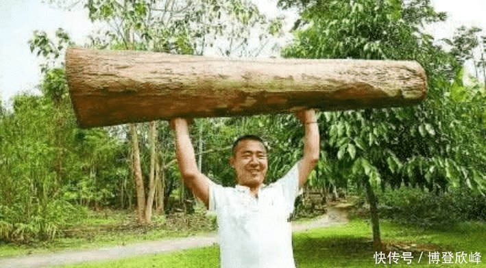  #塞子#世界上最轻的木头，最开始只是在中国只是被用来做保温瓶