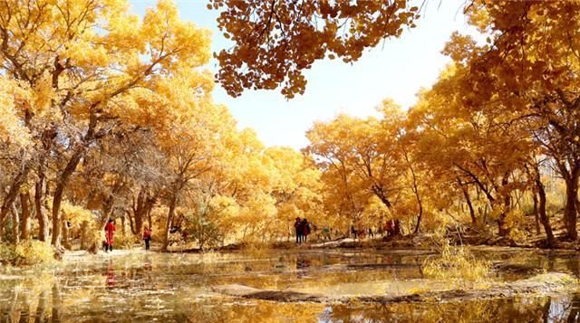 文化圣殿　人类敦煌