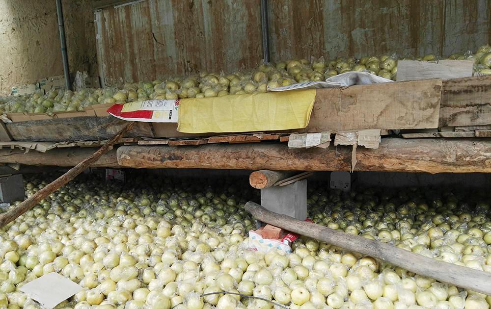  [收购价]去年每斤超2元，今年每斤不到8毛，产地堆成山，果农：