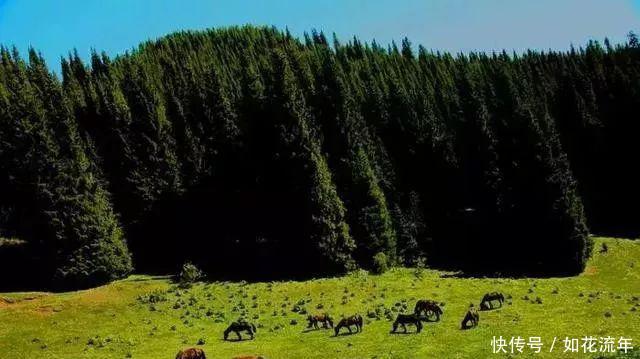 新疆有个地方，比香港还晚回归！景色却美到无法无天！