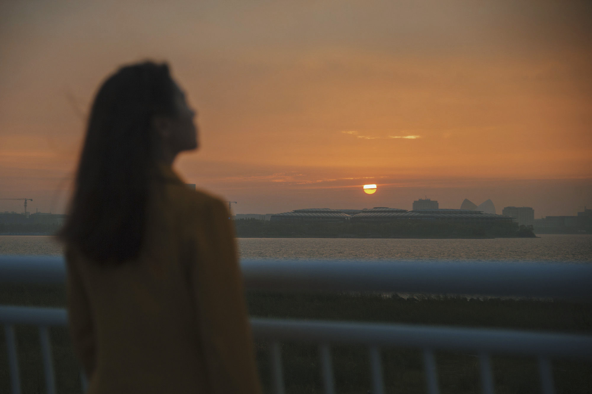 现实版泰囧上海自驾游，历经延误、爆胎、鳄鱼还有暴雨，湿身更撩