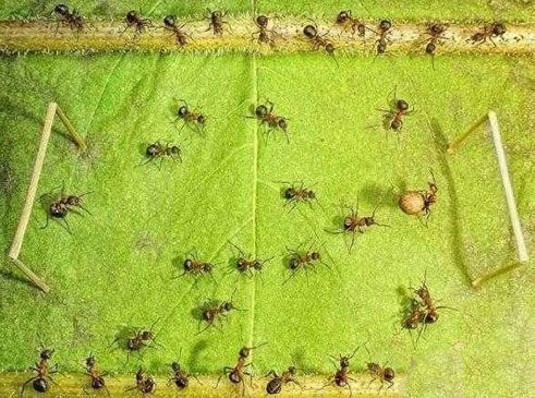 四维空间的生物就是鬼:什么是四维空间,四维空