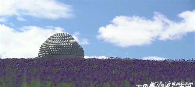 日本建筑师挖地10米,只造半个佛头,看后让人称奇