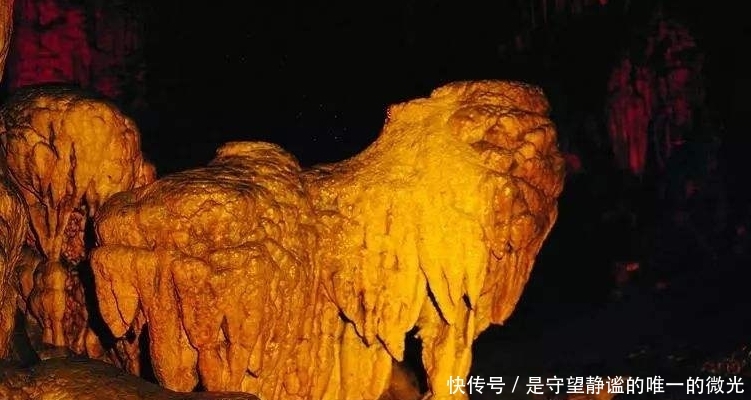 荔波茂兰喀斯特森林旅游必去的景点之一,金狮洞超震撼