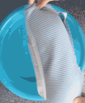 透气凉爽，洗1000次也不变形！夏天穿上挺拔又自信！