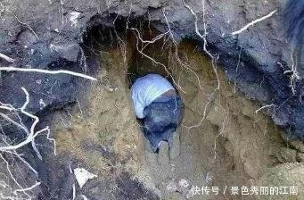  [围观]农村大哥挖窖，挖到一宝贝, 看清后高兴坏了, 引来村民围