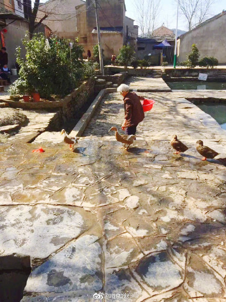 南京窦村，一个有故事的古村落