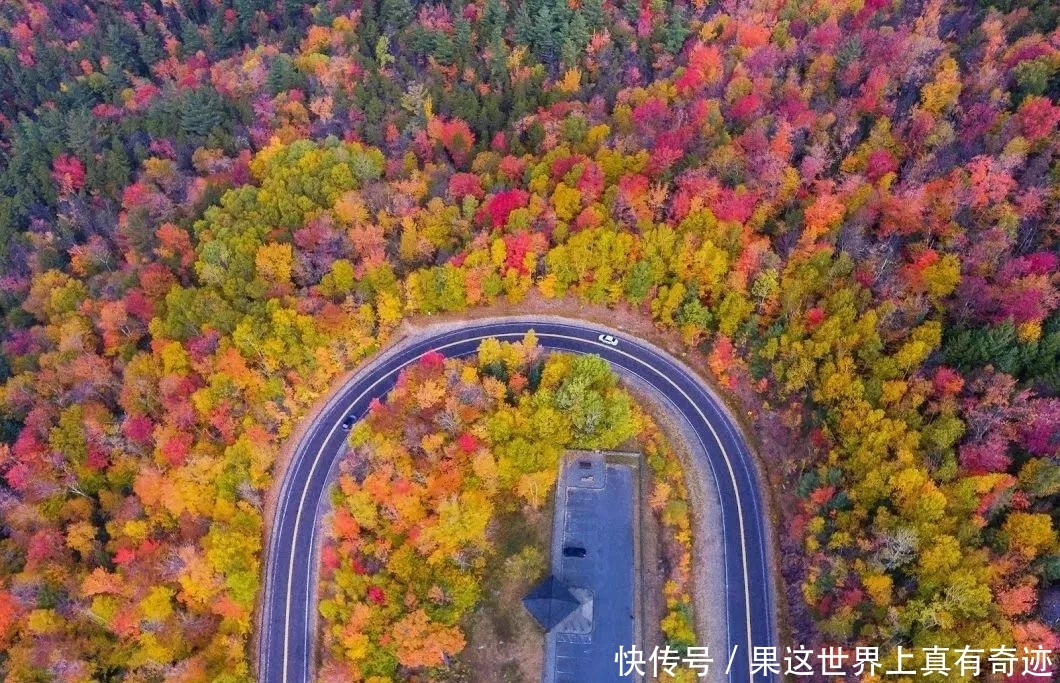 从波士顿出发，在房车里露营看红叶