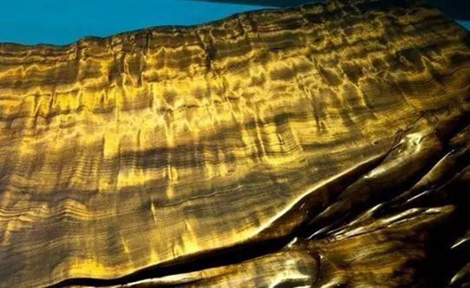  河道■农民河道挖出的乌木曾价值千万, 到底是什么木 为何现在无