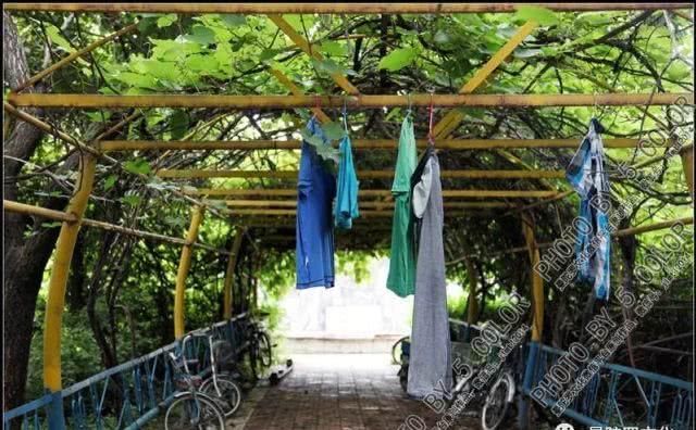  #经济#还记得中兴街上的吉林铁路经济学校吗？还有那栋1953年的教学楼