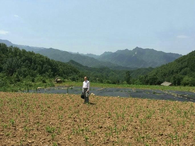 河南大龙结宝穴七脑芙蓉大帐，穴隐脉藏待高人指点风水