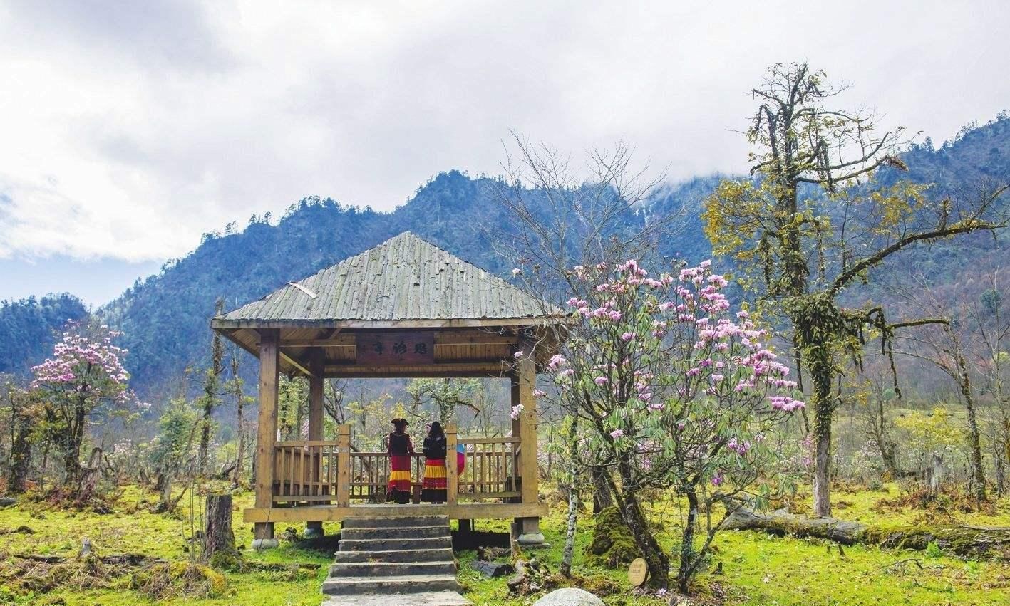 我国最“神秘”的景点,被称为中国的百慕大,很多谜团专家都无解