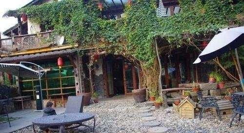 曾火爆的农家乐今面临关门潮,老农直呼没游客,城里人给出原因