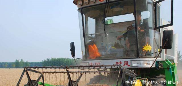 “房屋拆迁”方案出来了，按这个补偿，看看有你家吗！