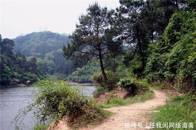  「去钓鱼」农村水库里的宝贝, 一个能卖2000多，一般人不敢去捉