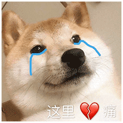 你堵哪了?高速成停车场,隧道口寸步难行!有人哀嚎:尿不湿忘带了