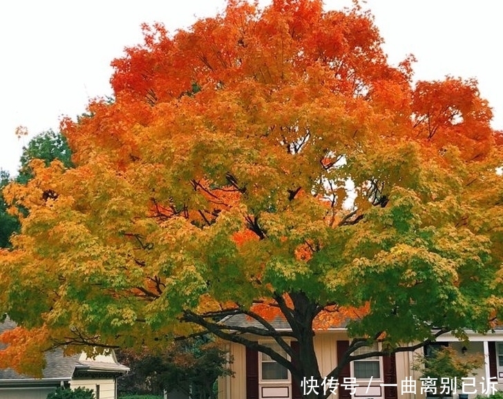 强迫症都挑不出毛病的26张照片 展现了真正的完美