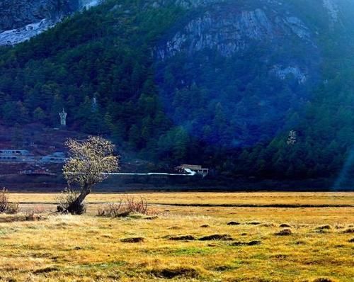 最美的情话不是要和你慢慢变老，而是我要带你去一次稻城亚丁