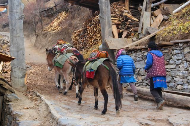 云南这个村庄隐藏在大山深处,至今不通公路,却美成“世外桃源”