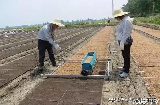 对不起，我回去当农民了！中国即将实行三权分置