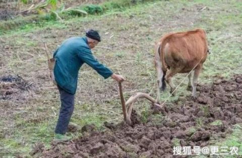 19年立秋时间，立秋节气后还热吗？老农：农村这句俗语给出答案！