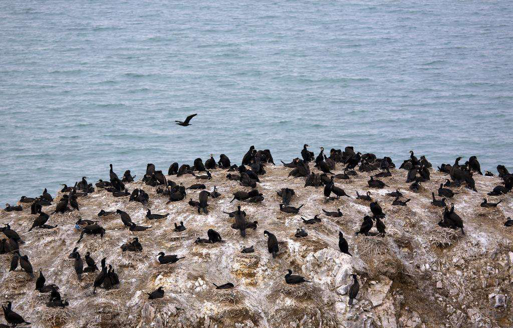 众多景区下达“逐客令”，这些年我们毁掉多少世界级美景?