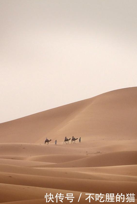 沙漠旅行-非洲的三大沙漠