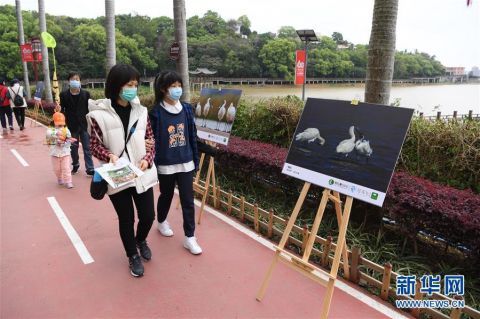  【现场】福建省第38届爱鸟周现场活动举行
