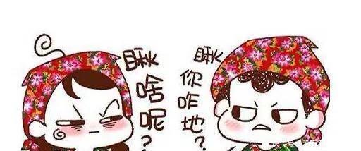  『东北汉语』东北人的口音源自哪里真的是山东吗！