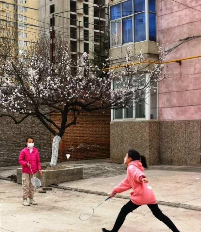  [画中游]春在枝头俏，人在画中游