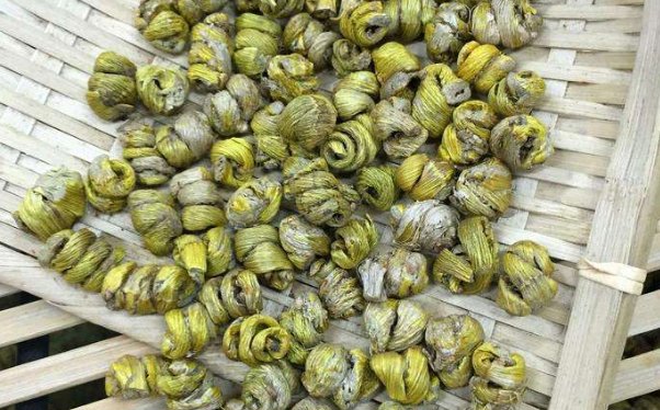  石斛@这野草名叫石斛，生长在石缝上，过去农民不重视，如今一株