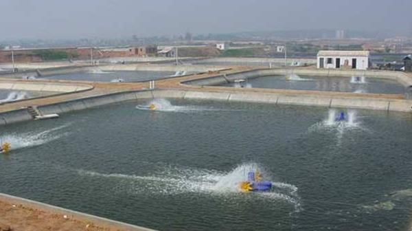  「参考」创业：农村能做什么？八大项目供您参考