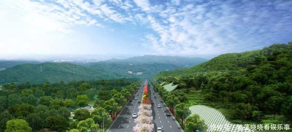  「珠海」中国绿化最好的城市，在你预料中吗