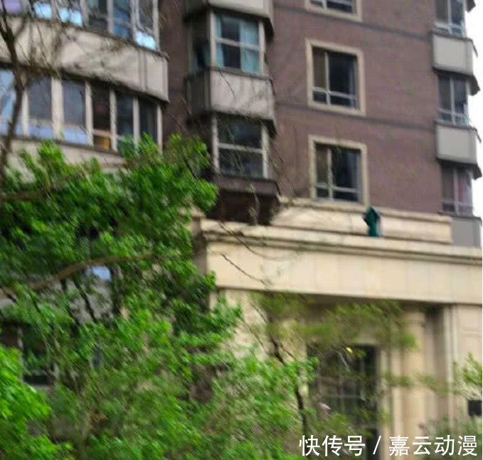 心虚？马蓉发声明反驳父亲派人撬锁事件后，却疯狂买水军转发！