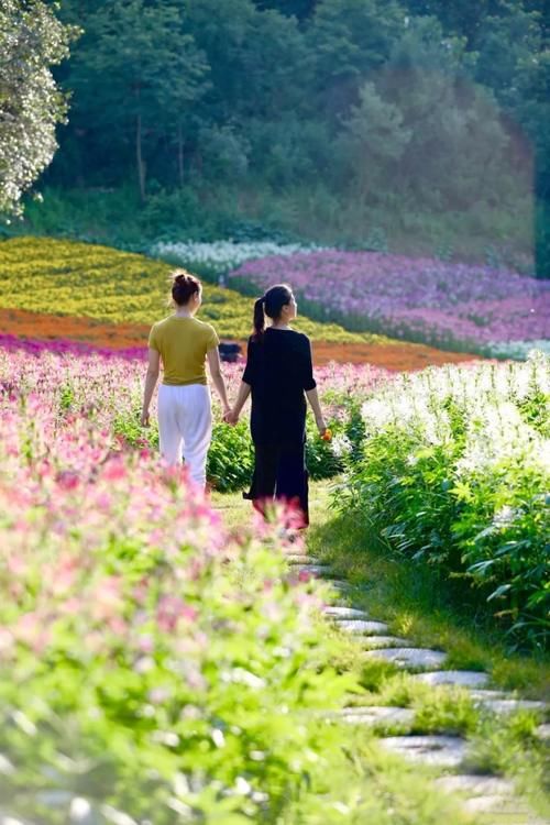  「四季花海」安排！英山这片花海五一花开正好，绝不能错过