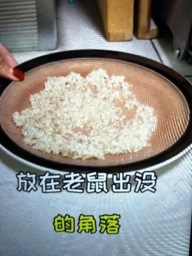  『家里』家里有老鼠别着怕，教你一招安全有效，让老鼠全部灭光光！