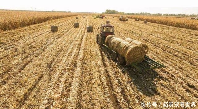  【远离】农民“骗局”再次来袭！特别是这3类“挣钱”的项目，要