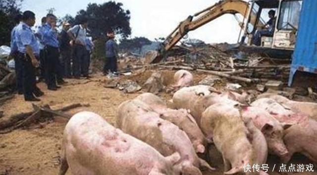 农村养殖场如果遇到这三种情况,可能会被拆除,村干部家的也不行！