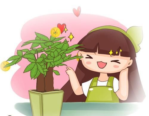  鸿运当头：10种招财花，越养越气派，家里有一盆好运连连！