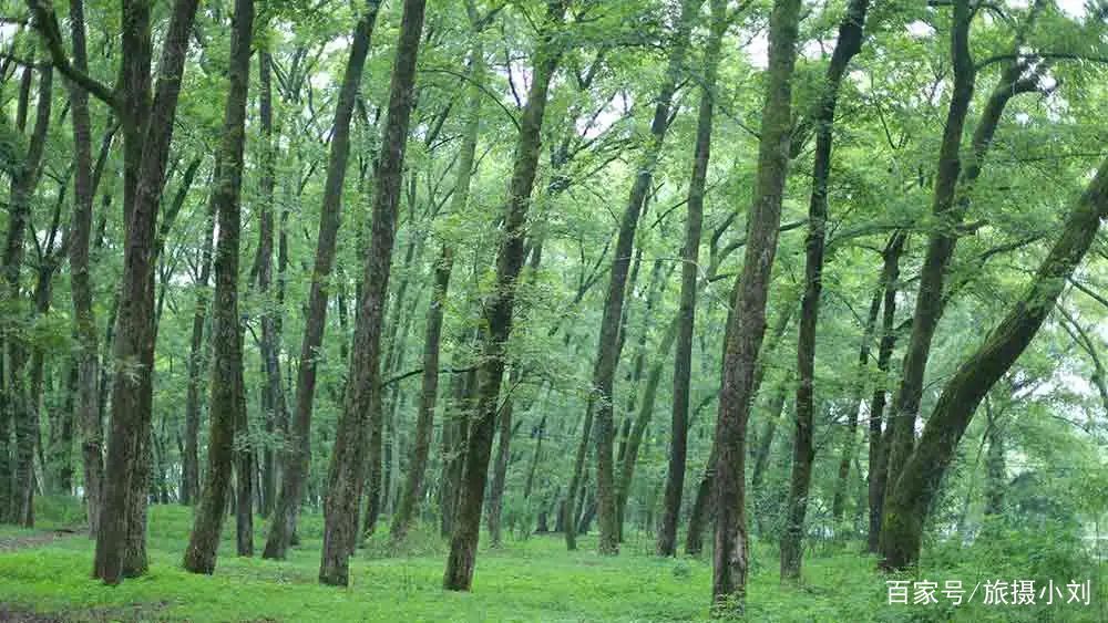  「游客」倒计时8天！清明小长假这13条小众宝藏线路，景色好，游客少！