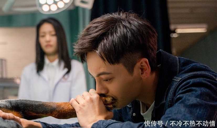 电影宠爱的票房现在是多少