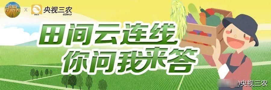  『金鱼』从前有一条鲫鱼，因为太好看，后来变成了金鱼！