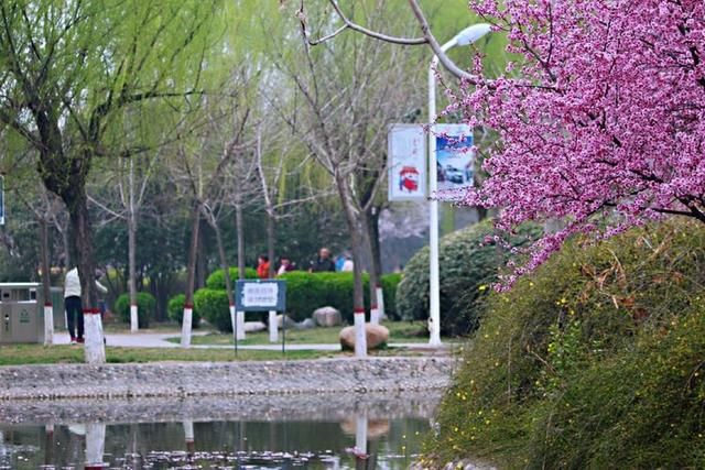 三月春暖花开,又到了寻花问柳的季节!