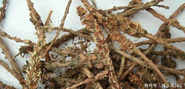 这种长在瓦片上的野草，用它消肿是一绝，如今20元一斤成稀罕货