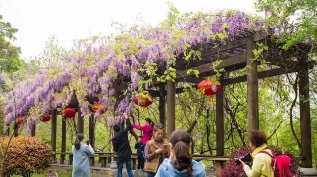  「攻略」2020年最强放假攻略！你准备什么时候来敬亭山？