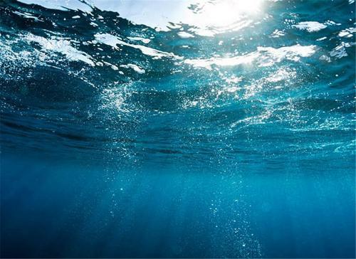 世界上最大的海，也是世界上最深的海，面积相当于半个中国那么大