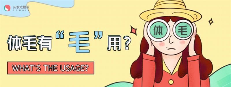  猕猴桃：现在不脱毛，夏日猕猴桃？今天咱们来聊聊体毛